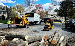 Sawyerwood, OH Tree Care  Company